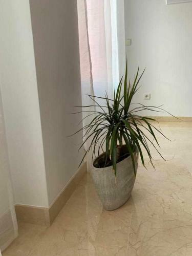 Apartamento Turistic Home Agua