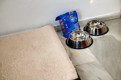 Apartamento Pet In Love Centro Malaga