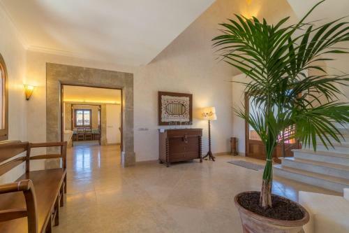 Manacor-289865