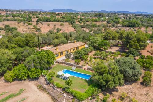 Manacor - 292479