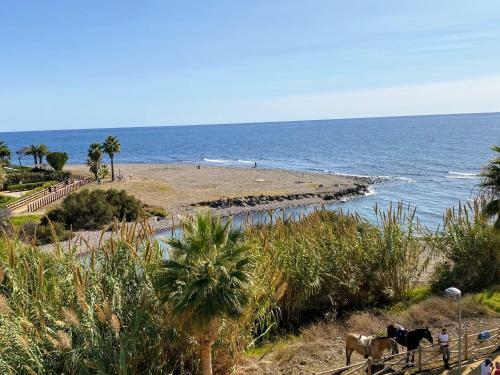 Apartamento Cortijo Blanco Beachfront - Eaw Homes