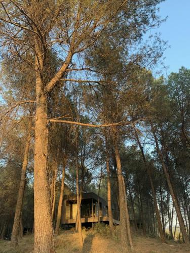 Lodge Les Cabanes de L'oller Del Mas