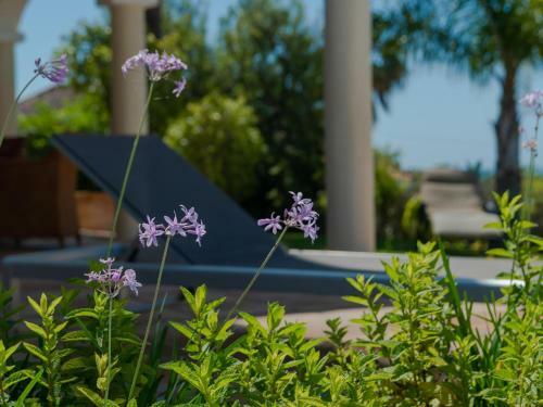 7003 Beautiful Villa Refurbished With Pool, Garden