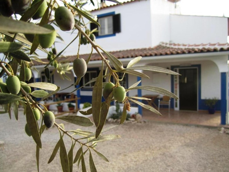 Bed & Breakfast Casa Azul Oasis