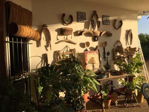 Casa Rural Santa Ana En Marchena Sevilla