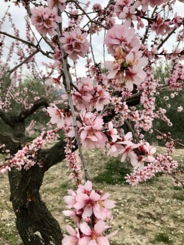 Agroturismo Al-qandil