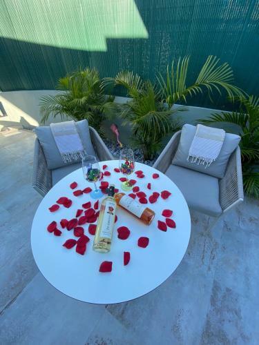 Palm Tree By Villa Soleros Apartment In Maspalomas