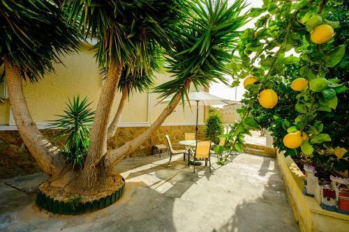 Villa Alegria Id 4