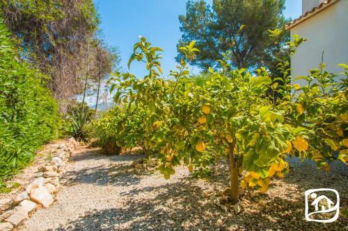 Abahana Villas Athena