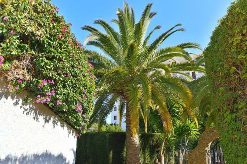 Apartamento Verano Azul, Nerja