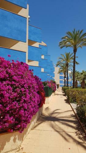 Cabo Roig Infinity Apartments