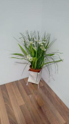 Apartamento Bnap Gesta