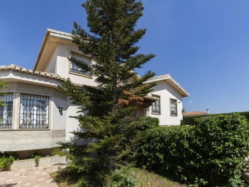 Villa Del Mamut
