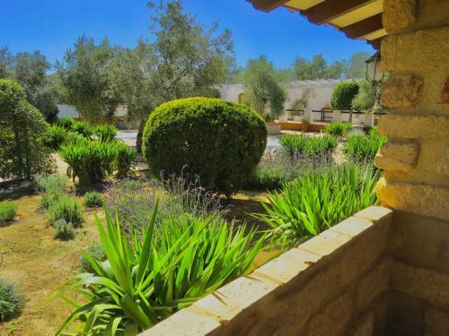 Holiday Home Abanico