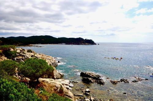 0apartamento Playa de La Fosca-sei302