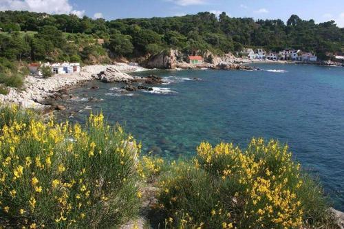 Apartamento Playa de La Fosca-m10