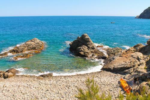 Apartamento La Fosca Royal-fl