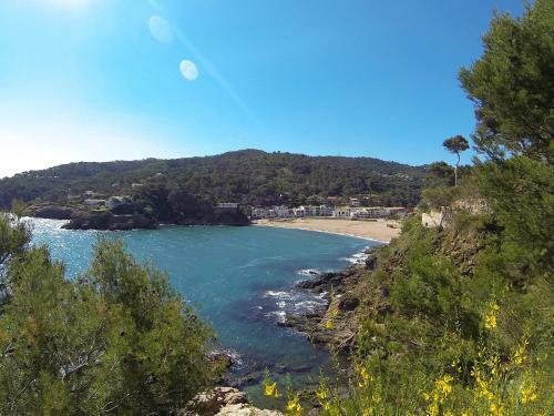 Apartamento Ap Bosmar 3h