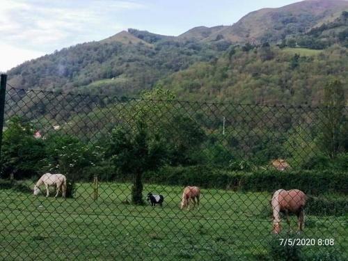 Apartamentos Rurales El Capricho de Carrio