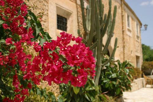 Agroturismo Can Guillo