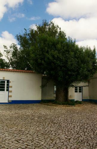 Apartamento Casal Alentejano