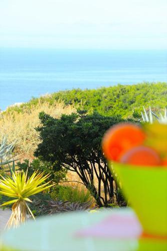 Apartamento Algarpraia