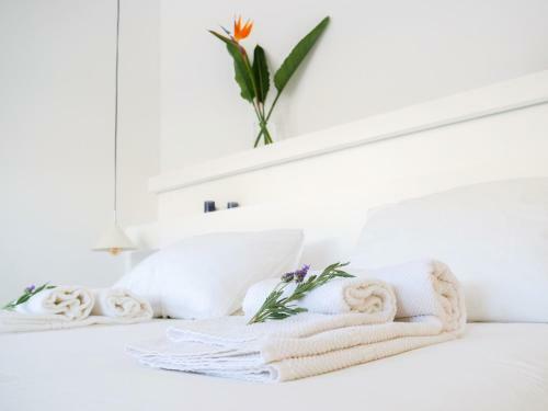 Hostal Vivenda Brito