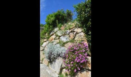 Villa In Porqueres Sleeps 2 With Pool And Air Con
