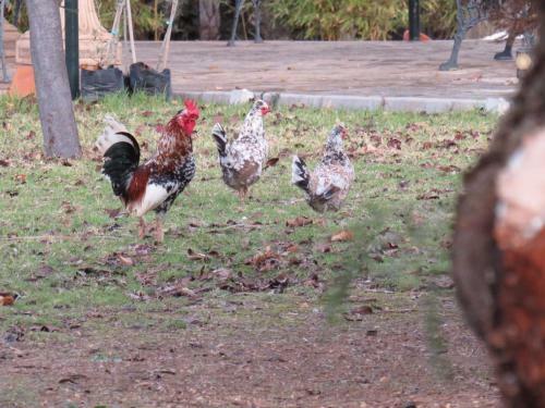 Agroturismo Hacienda Molino Blanco