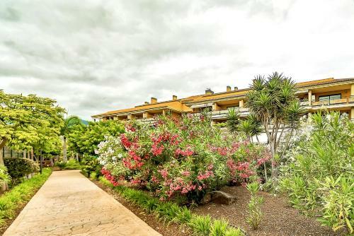 Apartamento Jardines Del Teide