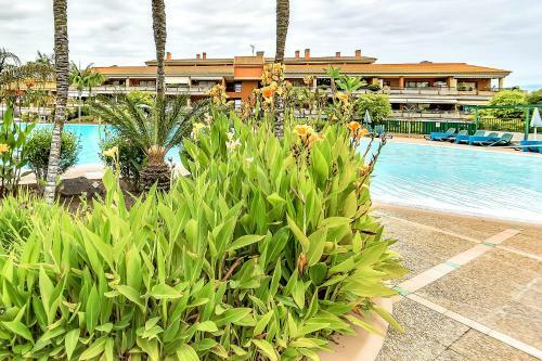 Apartamento Jardines Del Teide