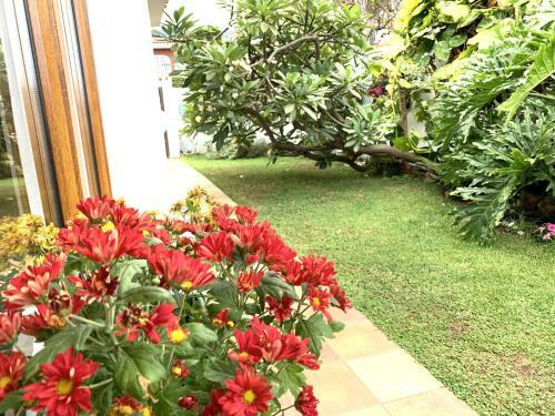 Prime Home San Nicol�s