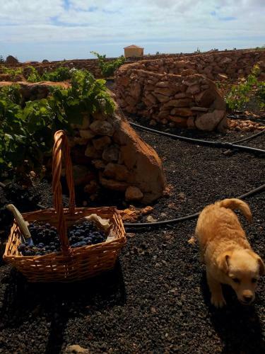 Apartamento Agriturismo El Bounty1