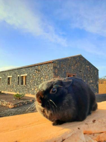 Apartamento Agriturismo El Bounty1