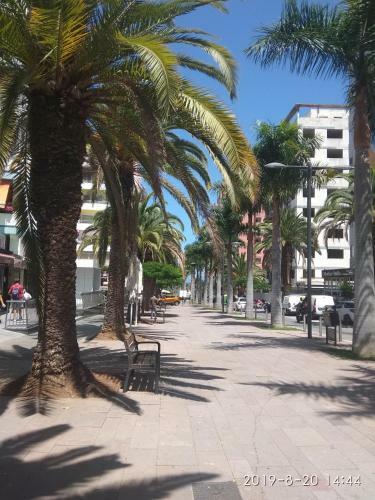 Apartamento Estudio Rom�ntico