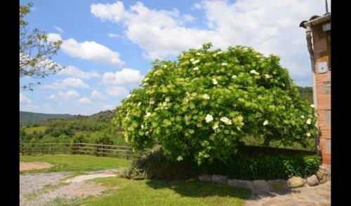 Puig-reig Villa Sleeps 8 With Pool