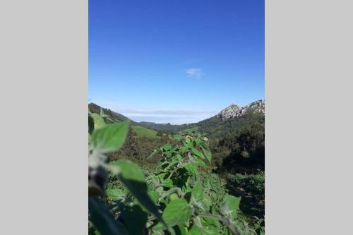 La Vierta Casa Rural Agroturismo