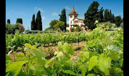 Reus Villa Sleeps 20 With Pool And Air Con