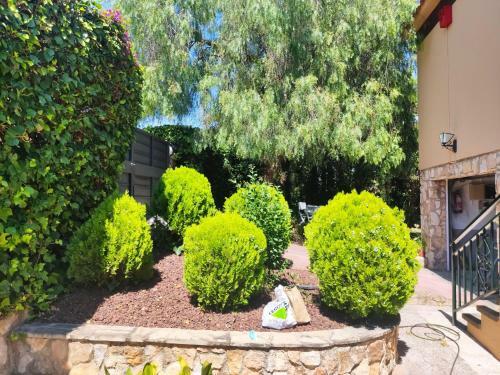 Casa Con Jardin I Piscina