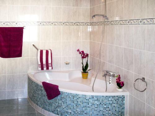 Apartment Salz - Amu585