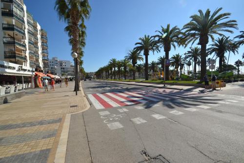 Apartamento Wvp - Michelangelo 2
