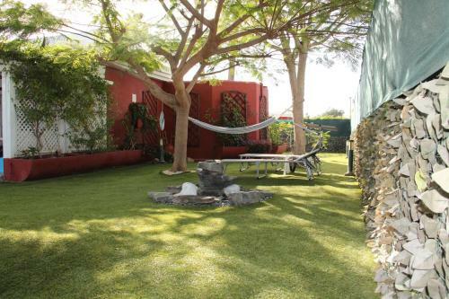 Albaricoques Vivac Bungalow