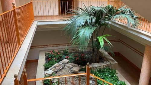 Apartamento Golden Beach 205