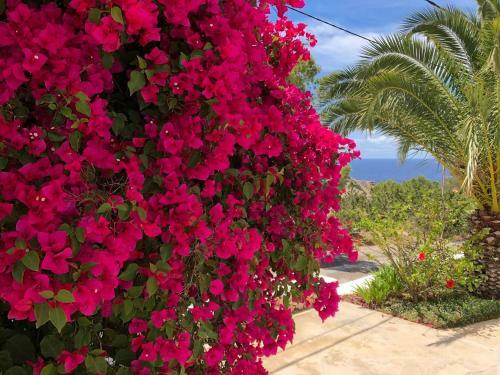 The Perfect Luxury Villa With Private Infinity Pool, Ibiza Villa 1075