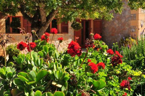 Villa Cavall