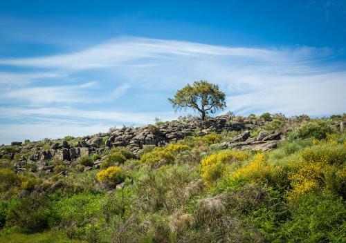 Alentejo Mountain Vacation House