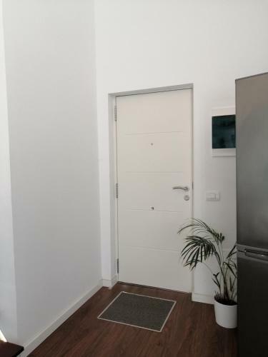 Island 201 Modern & Minimalist Apartments