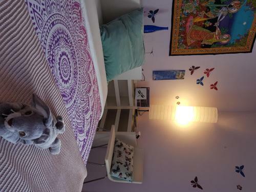 Hostal The Magic Dragonfly!