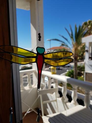 Hostal The Magic Dragonfly!