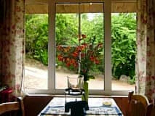 Lodge Cabana Roja Sauzal Tf